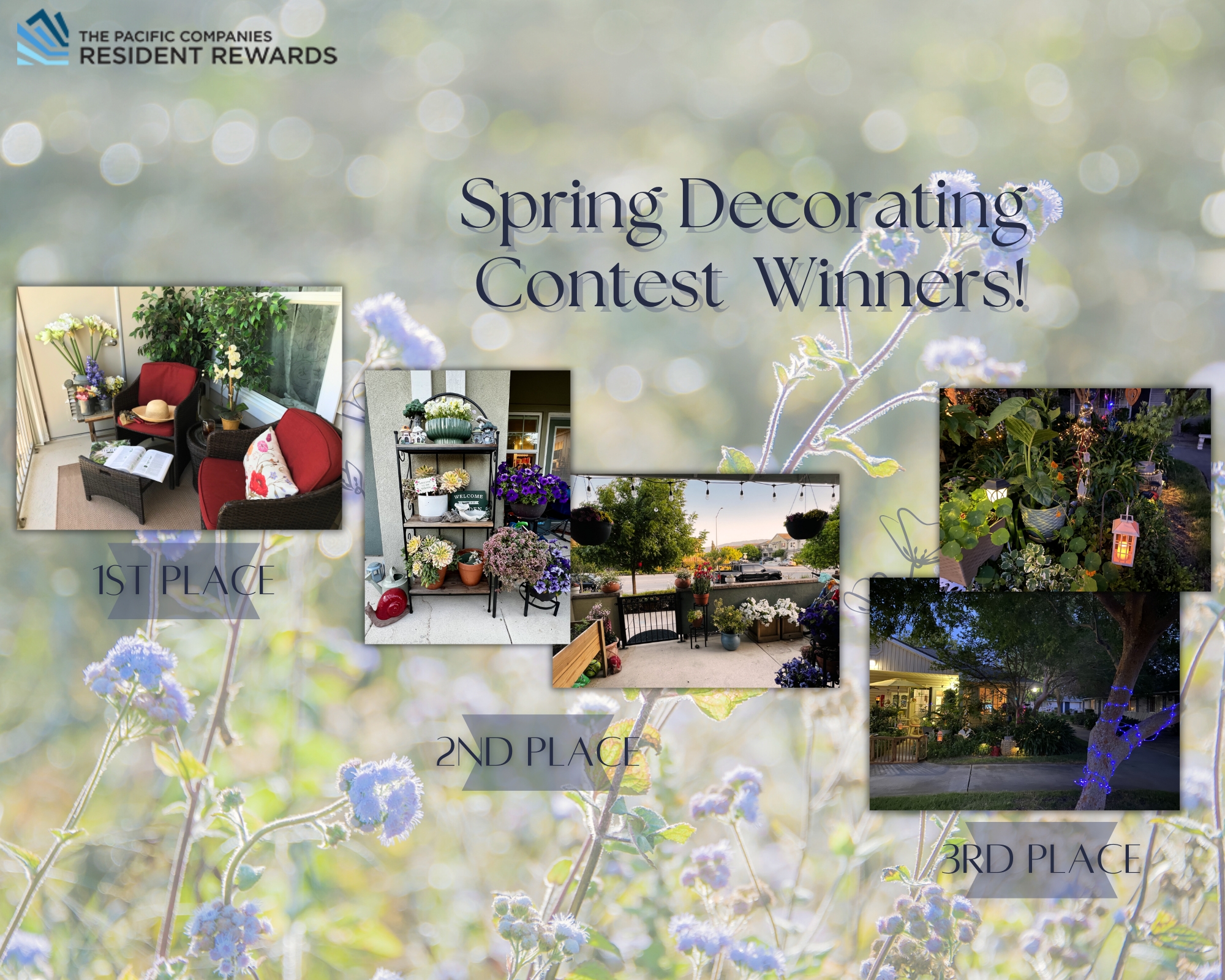 spring contest winners 2025