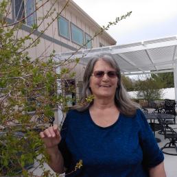 Diane S., Carlow Street
