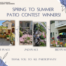 Spring to Summer Contest Winners 2022